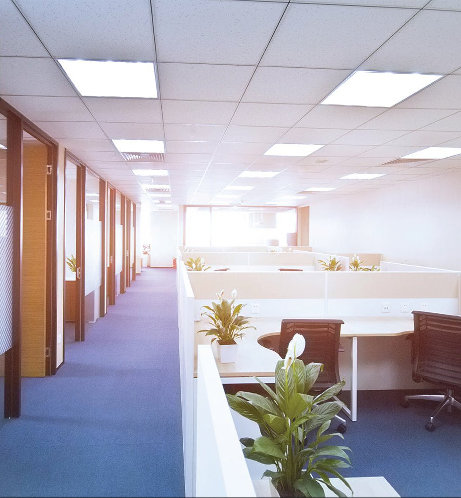 LED Backlit Panel Light 38W 3800Lm 3000K Warm White 600x600 2x2ft Non-Flickering in use in office space