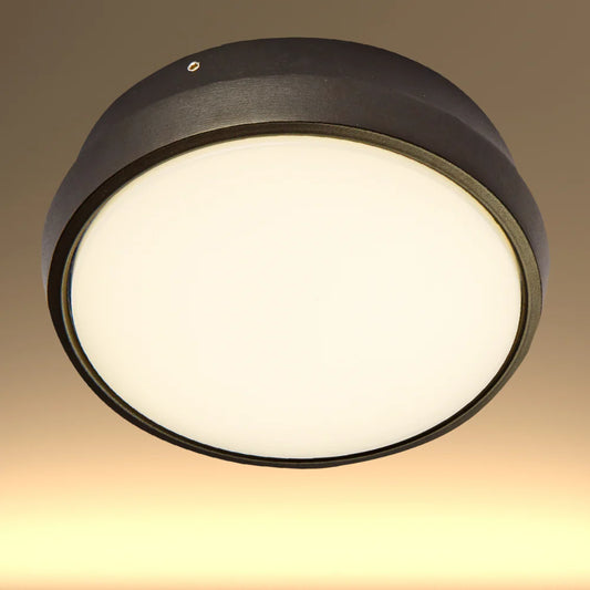 Black Ring Moonlight Outdoor Modern LED Wall Light 1